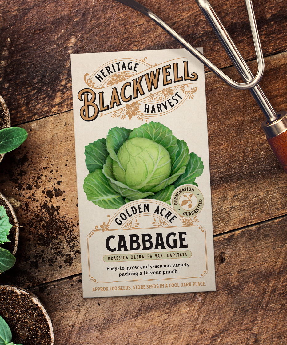 Blackwell Heritage Harvest Seeds - Golden Acre Cabbage