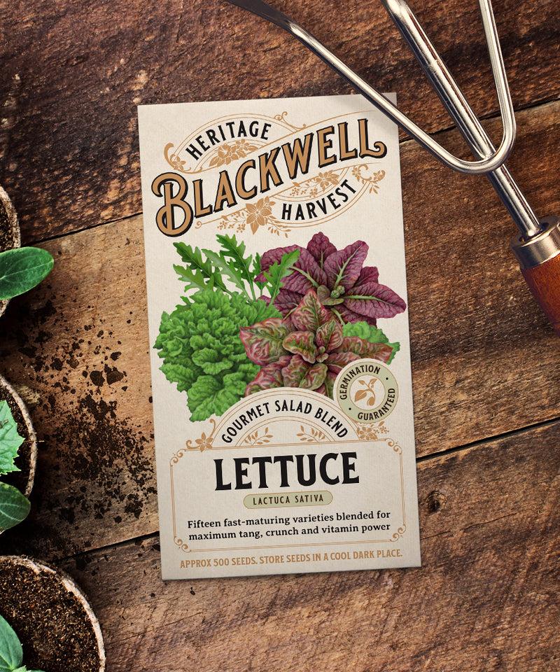 Blackwell Heritage Harvest Seeds - Gourmet Salad Blend Lettuce