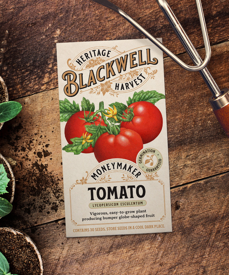 Blackwell Heritage Harvest Seeds - Moneymaker Tomato