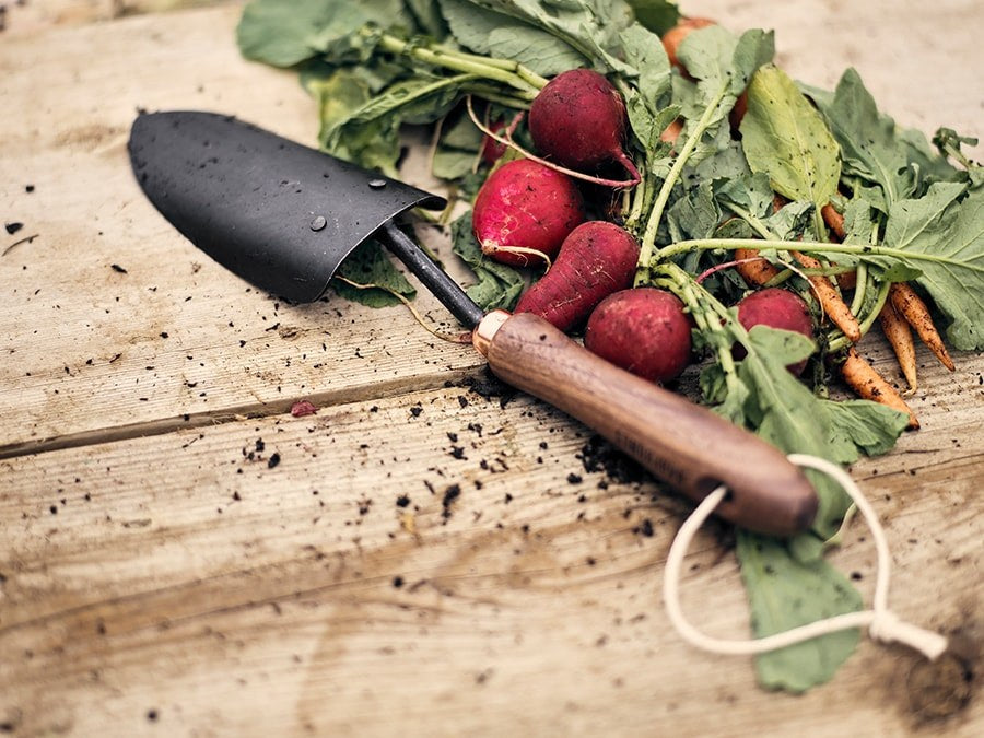 Barebones Trowel - Walnut